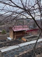 Лот: 25319986. Фото: 3. 2-комн. дача , СТ Восток СТ Восток... Недвижимость