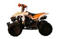 Лот: 25659166. Фото: 8. Квадроцикл RACER RC 110 Coyote