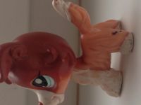 Лот: 4885598. Фото: 2. Игрушки LPS Littlest Pet Shop... Игрушки