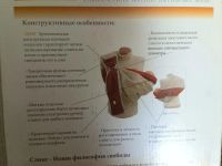 Лот: 4215737. Фото: 2. слинг на кольцах + подарочек. Дети растут