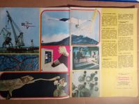 Лот: 20931912. Фото: 2. Журнал Техника молодежи №8 1980. Журналы, газеты, каталоги