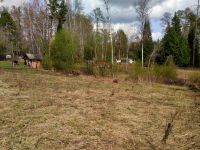 Лот: 16398918. Фото: 3. Земельный участок. Недвижимость