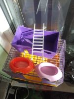 Лот: 18921920. Фото: 2. Клетка для хомяка 1 вариант. Животные и уход