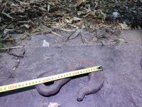 Лот: 18267944. Фото: 3. Крюк грузоподъемный. Авто, мото, водный транспорт