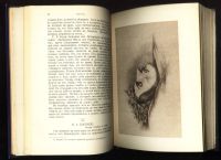 Лот: 19472629. Фото: 12. Сочинения Н. В. Гоголя. Том 10...