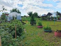 Лот: 25527098. Фото: 9. 2-комн. дача , СНТ Восход 6-я...