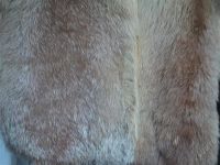 Лот: 2474330. Фото: 3. мех Рыжей лисы2спинки. Одежда, обувь, галантерея