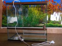 Лот: 5330191. Фото: 4. Террариум 50л со светом. Красноярск