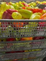 Лот: 24654924. Фото: 2. Перец болгарский очищенный для... Продукты