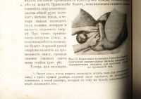 Лот: 20045026. Фото: 9. Н.С. Киселев. Краткий курс акушерства...