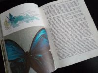 Лот: 24846491. Фото: 3. Синий махаон - книга об удивительных... Литература, книги