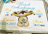 Лот: 17948014. Фото: 4. Вышивальная машинка janome500e... Красноярск