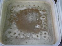 Лот: 10638450. Фото: 2. Мёд с Алтайского края - таёжное... Продукты
