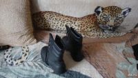 Лот: 9950394. Фото: 2. Ботинки. Одежда, обувь, галантерея