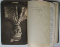 Лот: 24568085. Фото: 9. Энциклопедический словарь. Гранат...