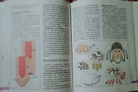 Лот: 25890213. Фото: 7. Ляукина Марина - Бисер: Браслеты...