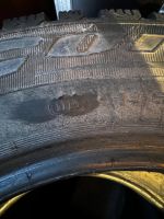 Лот: 21215435. Фото: 2. Cordiant snow max 195/65/R15. Шины, Диски