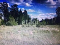 Лот: 25295481. Фото: 2. участок , ДНТ Ермолаевское-2 ДНТ... Продажа