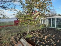 Лот: 25889649. Фото: 5. участок