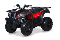 Лот: 25659401. Фото: 4. Квадроцикл KAYO Bull 150. Красноярск