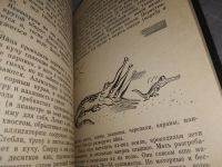 Лот: 8538302. Фото: 7. Проблемы этологии, И.Акимушкин...