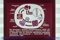 Лот: 5945551. Фото: 7. диафильм - школьная программа...