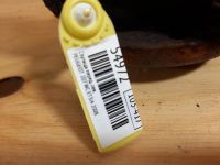 Лот: 18559598. Фото: 5. Ступица Peugeot 207 WC ET3J4 2008...