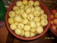 Лот: 6006200. Фото: 2. Яблоки сибирские ( из деревни... Продукты