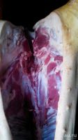 Лот: 13734675. Фото: 2. Мясо свинины. Продукты