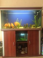 Лот: 7019572. Фото: 2. Продам Аквариум Aquatlantis evasion... Аквариумистика