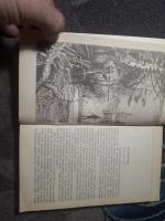 Лот: 21637272. Фото: 3. Мир приключений Валентин Иванов... Красноярск