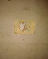 Лот: 19472346. Фото: 2. Этикетка Спич-ая не Разрешайте... Открытки, билеты и др.