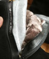 Лот: 25781001. Фото: 3. Сапоги " Юничел" новые 37 размер. Одежда, обувь, галантерея