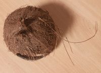 Лот: 21976843. Фото: 3. Декорация из кокоса "Хижина-2". Растения и животные