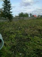 Лот: 10257839. Фото: 3. участок 6 соток. Недвижимость