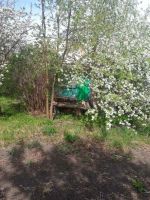 Лот: 15896493. Фото: 5. Дачный участок с домиком