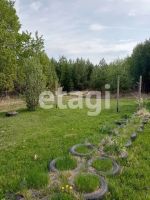 Лот: 25290628. Фото: 16. 1-комн. дача , СНТ Ветеран-10...