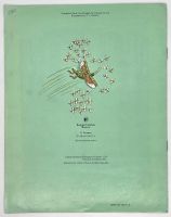 Лот: 25204875. Фото: 5. 📗 Vitaly Bianki. The First Hunt...