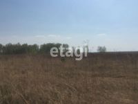 Лот: 25294853. Фото: 2. участок , садовые участки Штаны... Продажа
