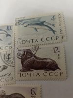 Лот: 19705521. Фото: 3. Марки СССР. 1971 г. Фауна. Обитатели... Красноярск