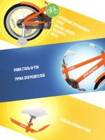 Лот: 25279030. Фото: 5. Детский велосипед Pifagor Point...