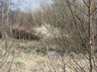 Лот: 7889440. Фото: 7. Земельный участок СТ "Черемшанка...