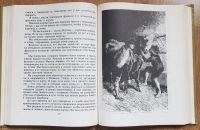 Лот: 16500733. Фото: 10. Гектор Мало - Без семьи. Фрэнсис...