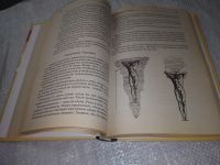 Лот: 19127924. Фото: 9. Богданович, Виталий Что в голове...