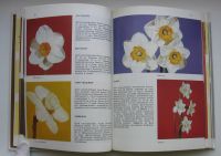 Лот: 15583794. Фото: 3. Нарциссы. Тюльпаны: Альбом-справочник. Литература, книги