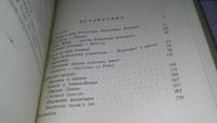 Лот: 11706355. Фото: 3. Стендаль, Ян Фрид, Изд. 1958 г... Литература, книги