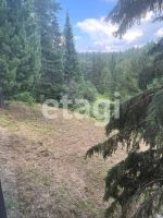 Лот: 25289579. Фото: 12. 2-комн. дача , СНТ Лесник СНТ...