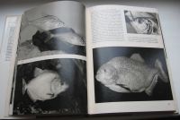 Лот: 18994059. Фото: 4. Франк Станислав. Иллюстрированная... Красноярск