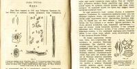 Лот: 17970076. Фото: 8. В.Палладин . Курс ботаники.* 1900...