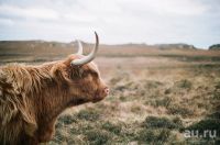 Лот: 4829376. Фото: 4. Цветная широкая фотоплёнка Kodak... Красноярск
